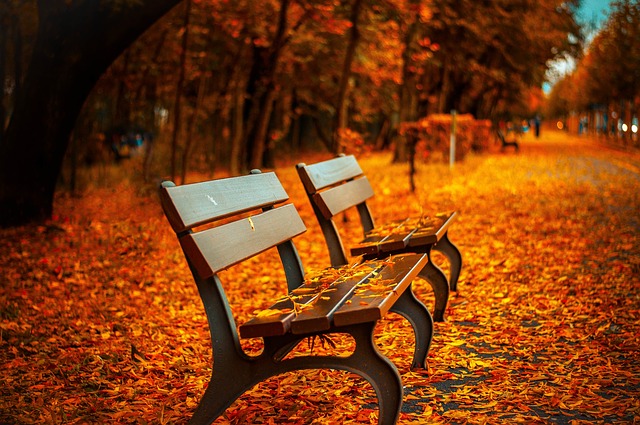 lavice na podzim.jpg